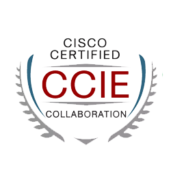 <a href="https://www.chinesedumps.com/clcor-350-801-ccnp-dumps.htm">350-801 - CCIE Collaboration</a>