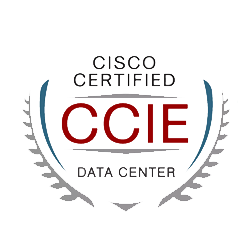 <a href="https://www.chinesedumps.com/350-601-ccnp-dccor-dumps.htm">350-601 - CCIE Data Center</a>