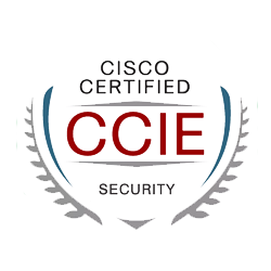 <a href="https://www.chinesedumps.com/350-701-ccnp-scor-dumps.htm">350-701 - CCIE Security</a>