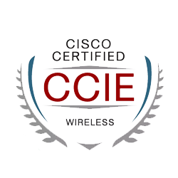 <a href="https://www.chinesedumps.com/encor-350-401-dumps.htm">350-401 - CCIE Enterprise Wireless</a>