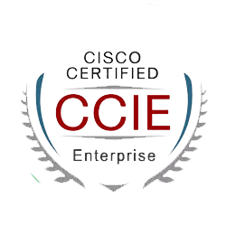 <a href="https://www.chinesedumps.com/encor-350-401-dumps.htm">350-401 - CCIE Enterprise Infrastructure</a>